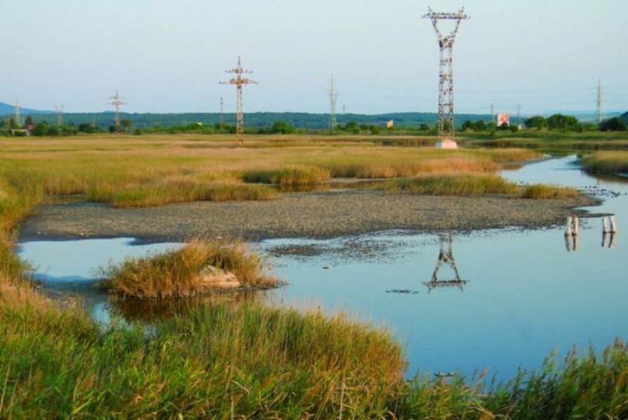 Защитена местност "Пода" » Вила.бг - ваканционни имоти под наем